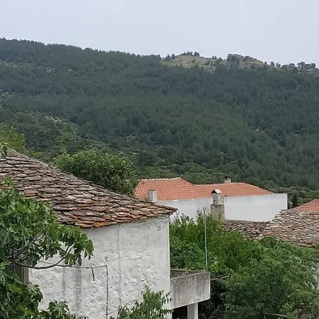 House Margarita Apartament *